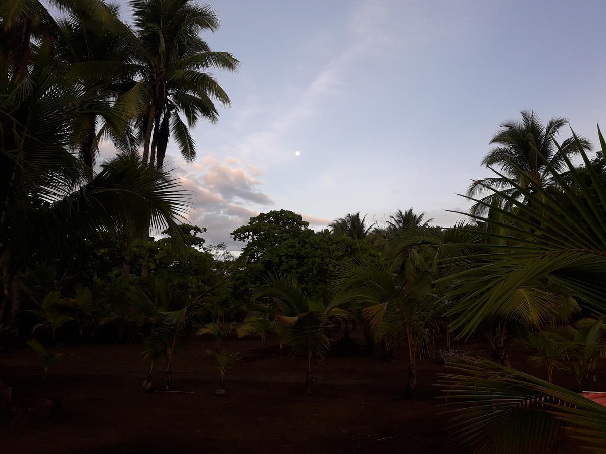 Hostal Pachamama Isla de Canas Екстер'єр фото