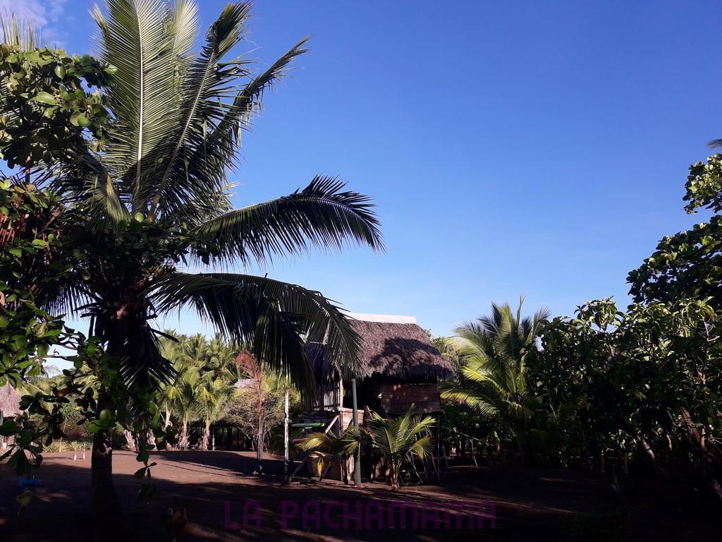 Hostal Pachamama Isla de Canas Екстер'єр фото