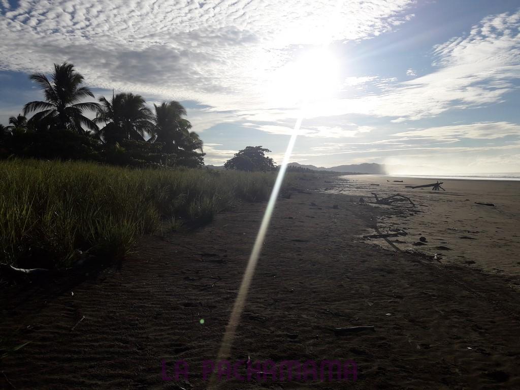 Hostal Pachamama Isla de Canas Екстер'єр фото