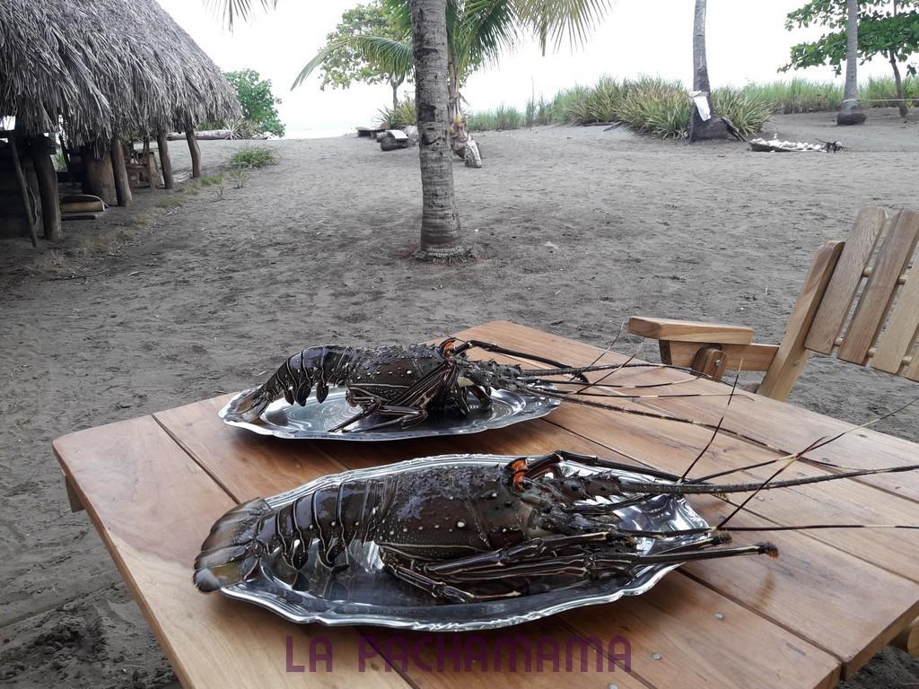Hostal Pachamama Isla de Canas Екстер'єр фото