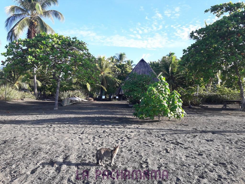 Hostal Pachamama Isla de Canas Екстер'єр фото