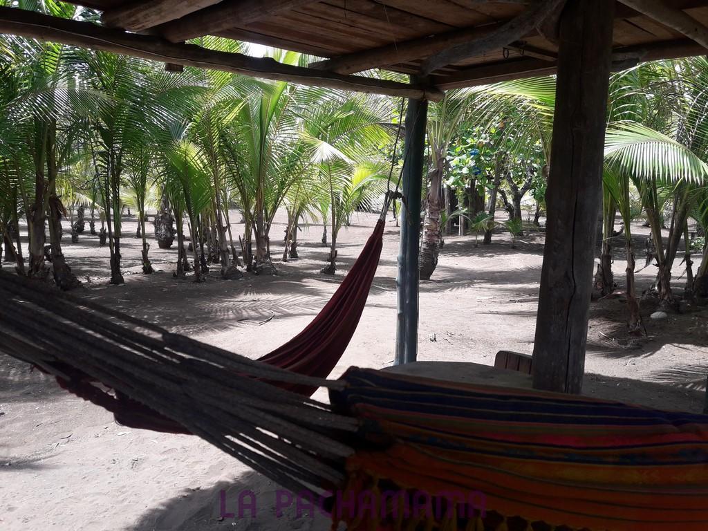 Hostal Pachamama Isla de Canas Екстер'єр фото