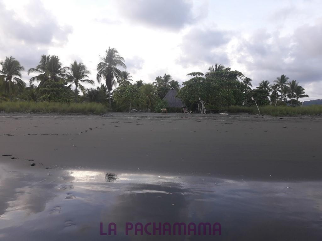 Hostal Pachamama Isla de Canas Екстер'єр фото