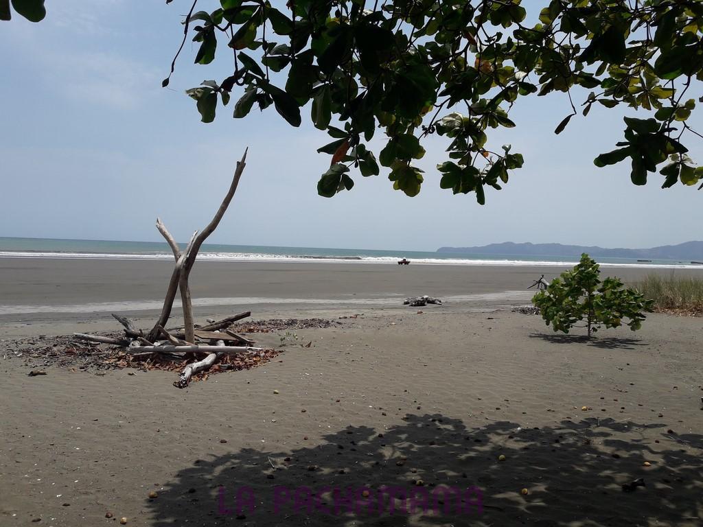 Hostal Pachamama Isla de Canas Екстер'єр фото