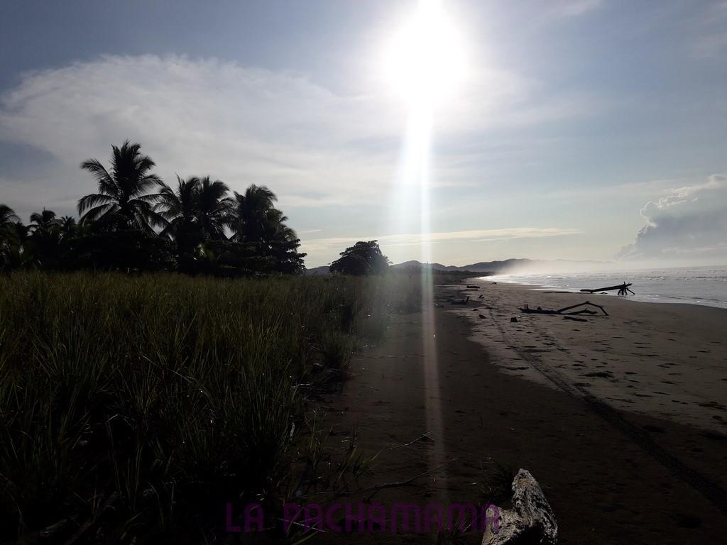 Hostal Pachamama Isla de Canas Екстер'єр фото