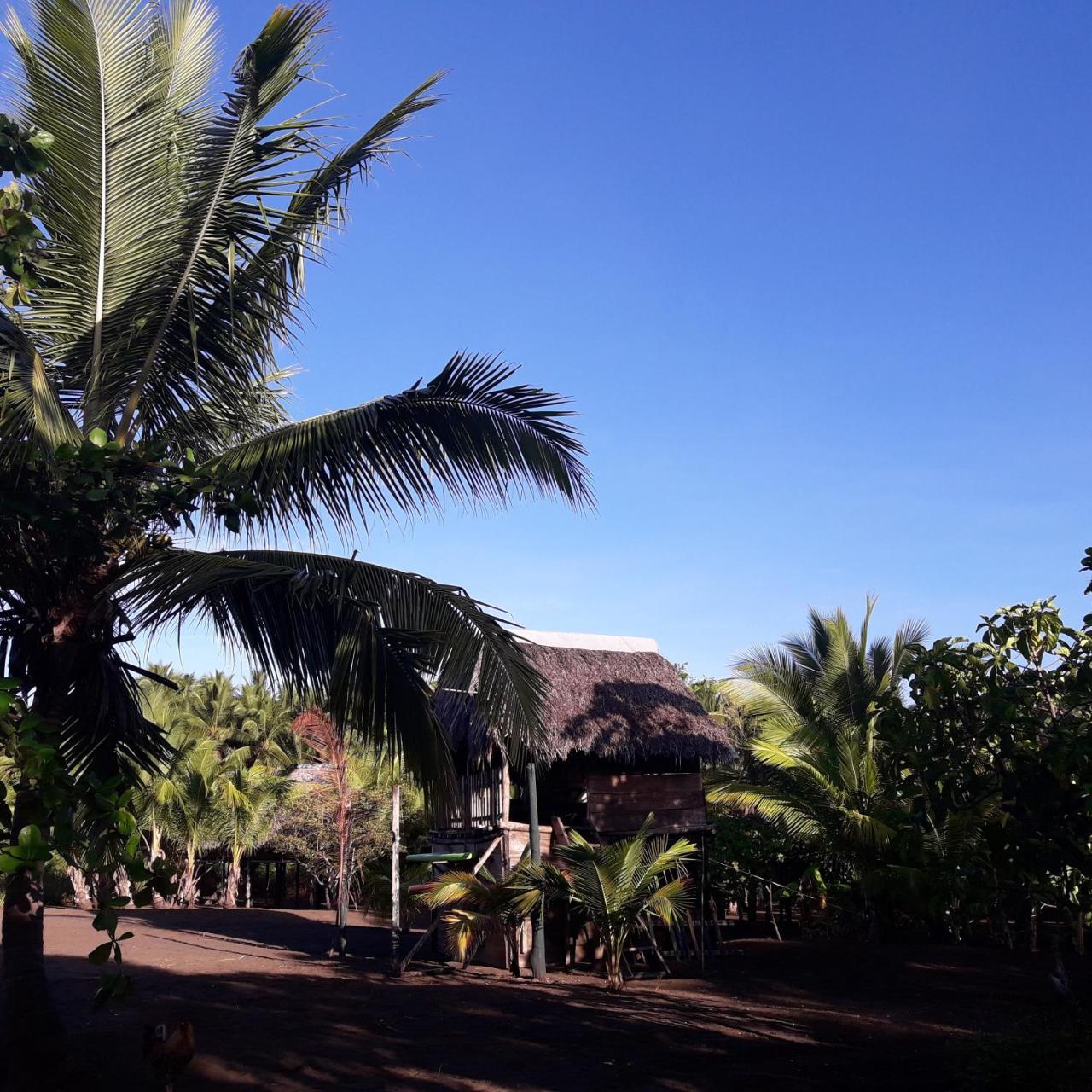 Hostal Pachamama Isla de Canas Екстер'єр фото